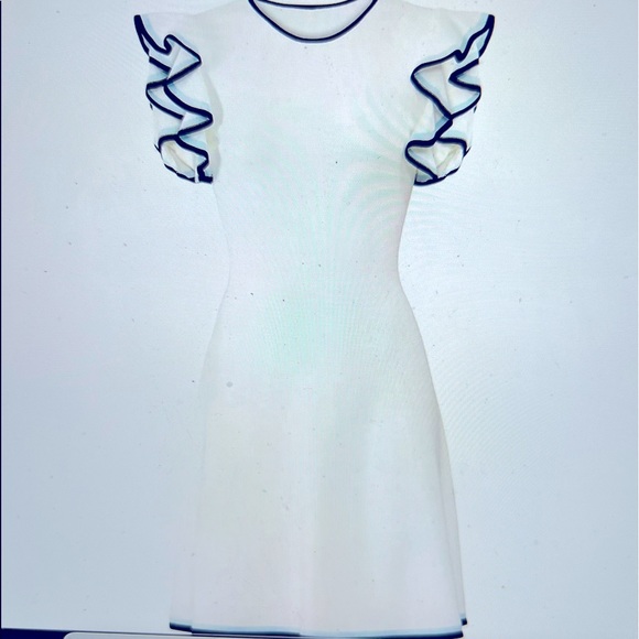 Shoshanna Saya Knit Dress - Picture 2 of 4